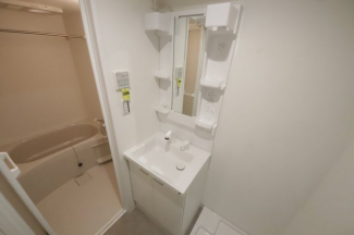 スペースが確保できる洗面所です