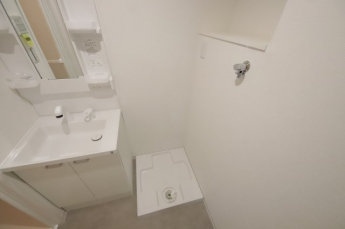 忙しい朝には欠かせない洗面所です