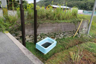 西側擁壁