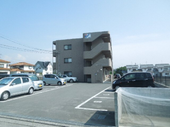 完成写真