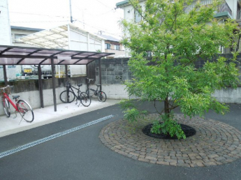 完成写真