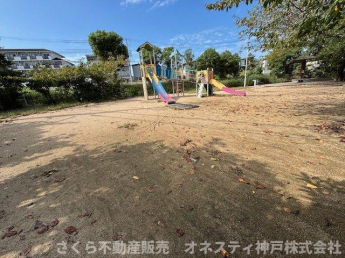 【周辺】