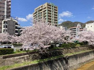 シティライフ生田の画像