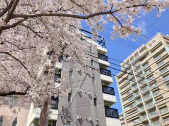 シティライフ生田の画像