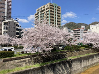シティライフ生田の画像