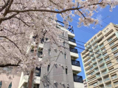 神戸市中央区二宮町１丁目のマンションの画像