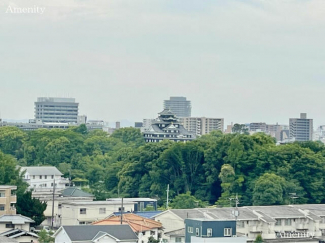岡山城が見えます