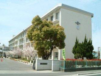 松山市立久枝小学校 990m