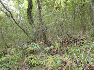 兵庫県加東市秋津の画像
