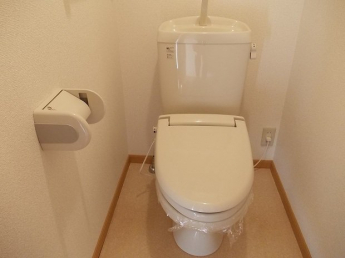 落ち着いた色調のトイレです