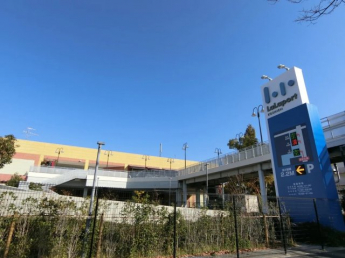 【その他】