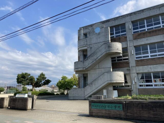 松山市立みどり小学校まで1271m