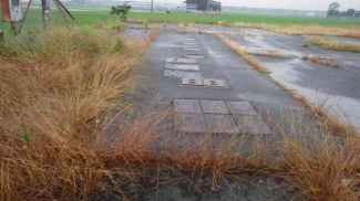 西条市楠の売地の画像