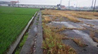 西条市楠の売地の画像