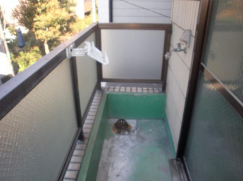 バルコニー