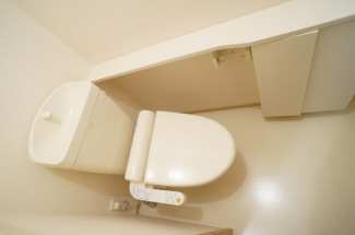 ウォシュレット機能付きのトイレは収納棚付きです