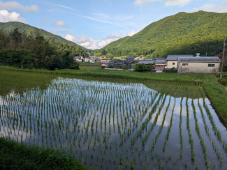 【展望】