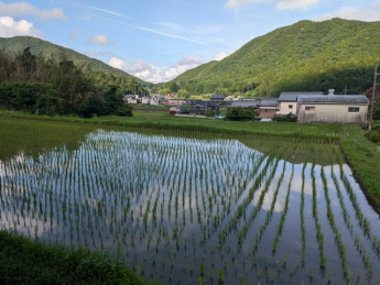 【展望】