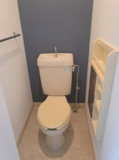 トイレにもアクセントクロスを入れてみました！