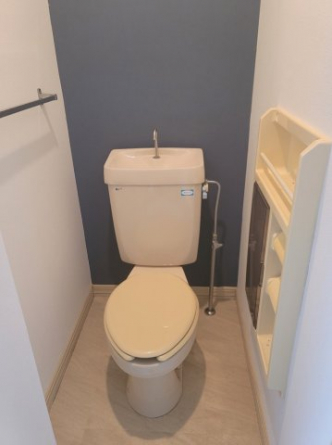 トイレにもアクセントクロスを入れてみました！