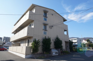 １フロア３戸、総戸数９戸のハイツです！
