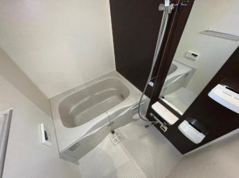 バス