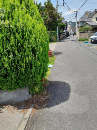 道後一万　土地45.03坪　坪単価＠53万の画像