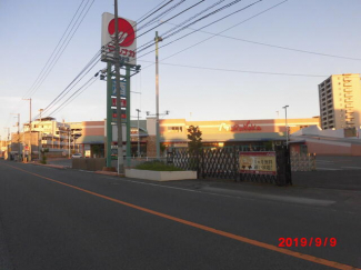 マルナカ土居田店まで1035m
