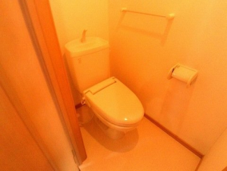 コンパクトで使いやすいトイレです