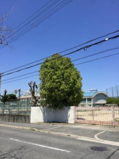 【その他】