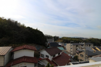 【展望】