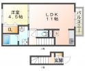 クレメント松本の画像