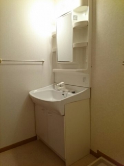 忙しい朝には欠かせない洗面所です