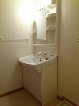 忙しい朝には欠かせない洗面所です