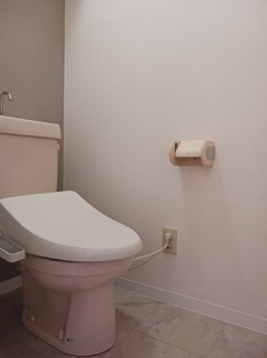 清潔感のあるトイレです
