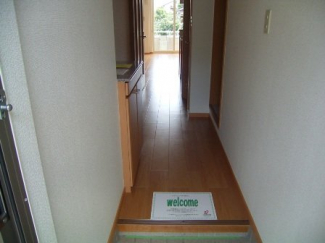 落ち着いた玄関です
