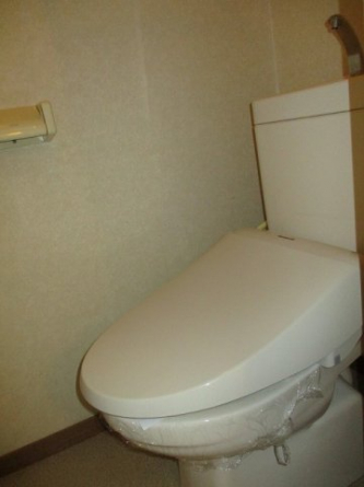 落ち着いた色調のトイレです