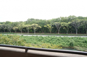 参考、同建物・同間取りの号室