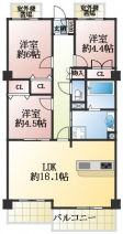 神戸市東灘区西岡本１丁目の中古マンションの画像