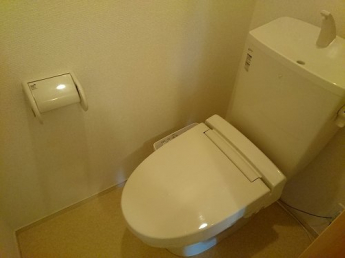 落ち着いた色調のトイレです
