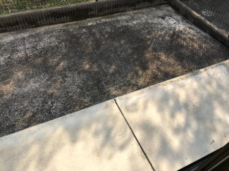 広々とした専用庭
