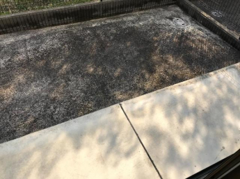 広々とした専用庭