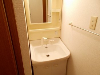 忙しい朝には欠かせない洗面所です
