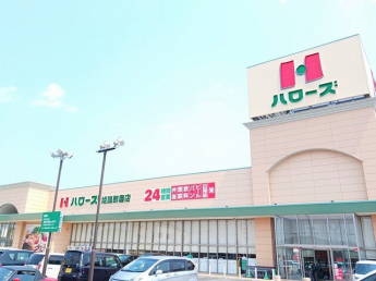 ハローズまで800m