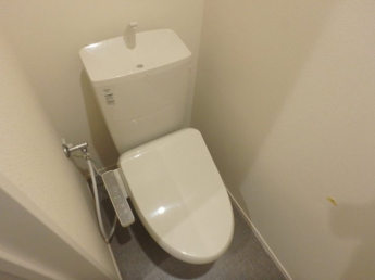 コンパクトで使いやすいトイレです