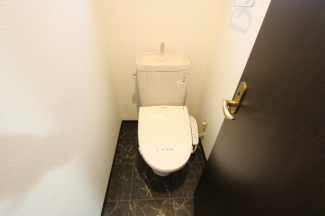落ち着いた色調のトイレです