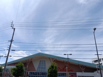 マルナカ中央通り店まで30m