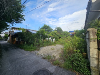 南側の区画土地です