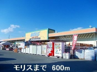 モリスまで600m