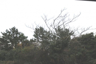 【展望】